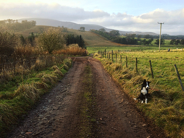 Photo of United Kingdom & Ireland